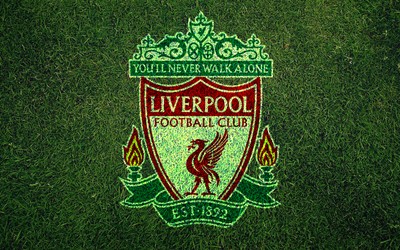 爱游戏动态-佩德里这传球像艺术